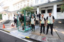 Kota Bandung catat jumlah hewan kurban capai 18.036 ekor