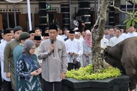 Menkeu Purbaya serahkan sapi seberat 868 kg untuk kurban
