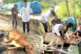 Tomimru Gansindo Tanjungblai berkurban, warga ucapkan terima kasih