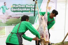 Kurban Baznas memberdayakan 2.089 peternak mustahik di 15 provinsi