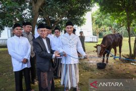 Hewan kurban dari Pemprov Banten dipastikan aman dan layak konsumsi