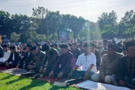 Pemotongan hewan kurban di Agam meningkat 3,5 persen