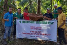 Momen Idul Adha, PT BSSP Pasaman Barat salurkan hewan kurban ke masyarakat sekitar