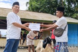 LKBN ANTARA salurkan 2 hewan kurban untuk masyarakat Adat Salena