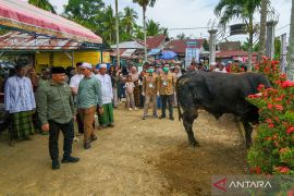 Bupati HST serahkan 9 ekor sapi kurban untuk masyarakat di berbagai wilayah