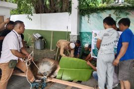 Keluarga besar Rahmat Shah sembelih 20 hewan kurban, 2 di THPS