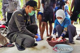 DKPP Natuna edukasi panitia tangani hewan kurban yang higienis