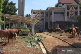 Pemkot Jaksel terima 115 hewan kurban untuk pelaksanaan Idul Adha