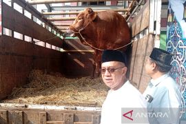 Bupati Banyumas serahkan sapi kurban bantuan Presiden seberat 1,1 ton