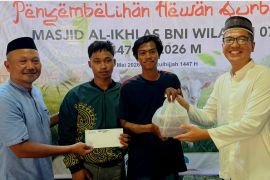 BNI Wilayah 07 Makassar salurkan 10 sapi kurban pada Iduladha 1447 H