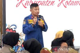 Penyebab kebakaran bangunan di Kotim didominasi korsleting listrik