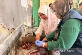 Kota Cirebon pastikan hewan kurban bebas penyakit berbahaya