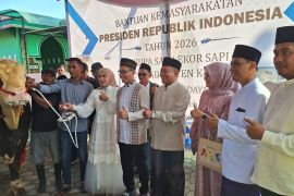 Masjid Al Hidayah Kendal menerima sapi kurban Presiden Prabowo seberat 1,1 ton