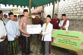 Pemkab Lamongan salurkan sapi kurban Presiden RI di Mantup