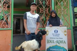 RS Premier Surabaya salurkan kurban ke 12 lembaga sosial