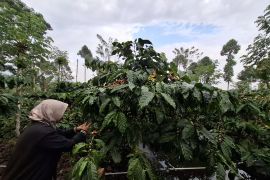 PLN UID Lampung layani 4.715 pelanggan sektor pertanian