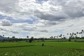 Lampung usul 101 jaringan irigasi utama pada 2026