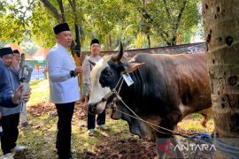 Kementan dan HKTI salurkan 49 ekor hewan kurban Idul Adha 1447 H