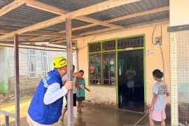 Sapi kurban bantuan presiden terdistribusi bagi warga terdampak banjir