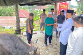 Polda Maluku dan jajaran salurkan 118 hewan kurban untuk rakyat di berbagai wilayah