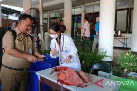 Sudin KPKP Jakbar periksa daging kurban yang disembelih di 121 titik