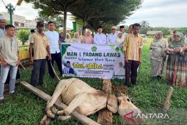 Kemenag Palas sembelih 16 ekor sapi kurban