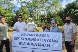 KEK Tanjung Kelayang salurkan sapi kurban Idul Adha 1447 Hijriah