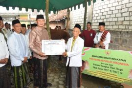 Pemkab Lamongan salurkan sapi kurban Presiden RI di Mantup