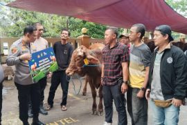 Polres Metro Jakpus serahkan sapi kurban ke Bale Wartawan