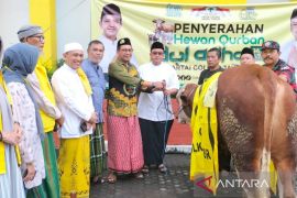 Golkar Jatim salurkan 19 sapi dan empat kambing untuk kurban
