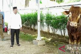 Bupati Karawang bagikan daging sapi bantuan Presiden Prabowo ke sekitar wilayah utara