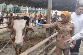 Pemkot Jakbar himpun 78 ekor hewan kurban untuk disalurkan