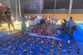 Rycko Menoza distribusikan 600 kupon kurban Idul Adha untuk warga Lampung
