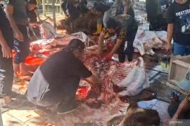 KPKP Jaktim cek organ dalam hewan kurban di Masjid At-Tin