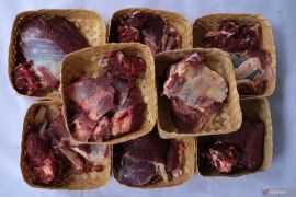Tim Kesehatan hewan Kota Palangka Raya periksa daging kurban