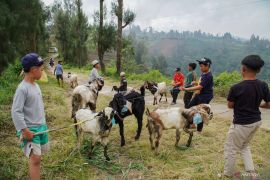 Penyembelihan hewan kurban di perkampungan Tengger