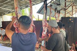 UNG kurbankan 21 sapi hasil iuran dosen dan pegawai