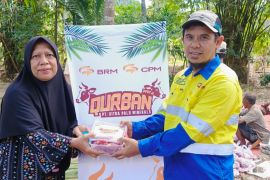 PT CPM salurkan 45 ekor sapi kurban untuk wilayah Palu dan sekitarnya