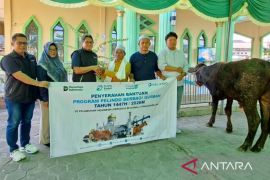 Pelindo Pangkalbalam serahkan enam ekor sapi kurban