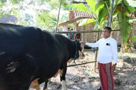 Sekda Jateng salurkan hewan kurban 1,1 ton untuk korban banjir di Grobogan
