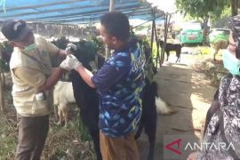 289 satgas kurban dampingi pemotongan hewan di Tangerangkurban