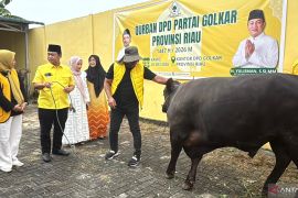 Golkar Riau bagikan ribuan paket hewan kurban