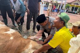 Kapolres Langkat pimpin penyembelihan Hewan kurban, wujud kepedulian Polri kepada masyarakat