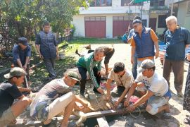 Idul Adha 1447 H, PWI Sumut sembelih 6 hewan kurban