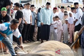 Idul Adha,  Bobby sumbang 17 sapi ke masyarakat pakai dana pribadi