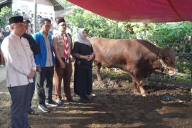 Bupati Garut serahkan sapi bantuan Presiden untuk warga Cigedug