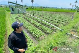 Seribuan hektare sawah di Garut diasuransikan hadapi kemarau