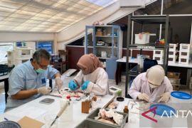 Indonesian researchers study plants for diabetes treatment