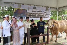 Pemkot Balikpapan terima sapi banmas presiden