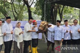 Danareksa dan Baznas bagikan 3.000 paket daging kurban ke warga Surabaya